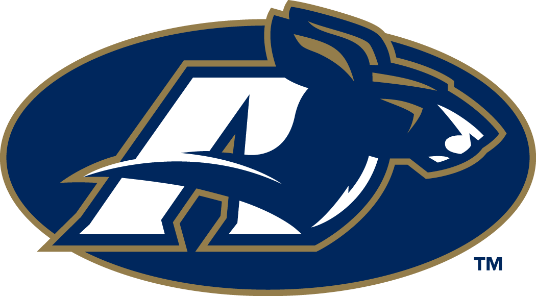 Akron Zips 2002-Pres Alternate Logo v5 diy fabric transfer